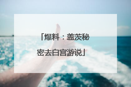爆料：盖茨秘密去白宫游说